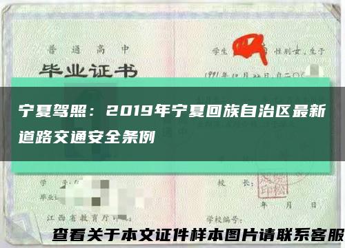 宁夏驾照：2019年宁夏回族自治区最新道路交通安全条例缩略图