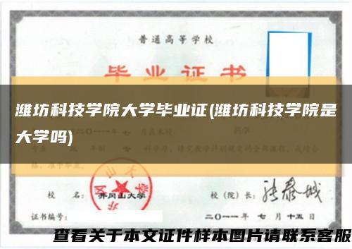 潍坊科技学院大学毕业证(潍坊科技学院是大学吗)缩略图