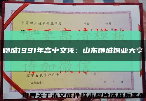聊城1991年高中文凭：山东聊城铜业大亨缩略图