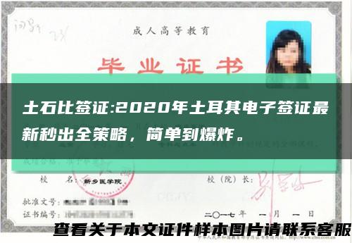 土石比签证:2020年土耳其电子签证最新秒出全策略，简单到爆炸。缩略图