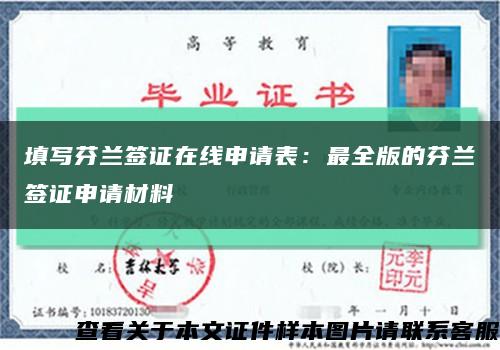 填写芬兰签证在线申请表：最全版的芬兰签证申请材料缩略图