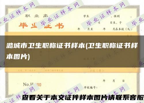 潞城市卫生职称证书样本(卫生职称证书样本图片)缩略图