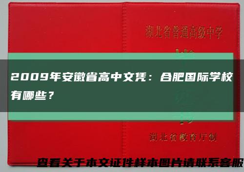 2009年安徽省高中文凭：合肥国际学校有哪些？缩略图