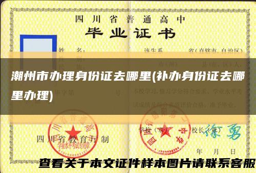 潮州市办理身份证去哪里(补办身份证去哪里办理)缩略图