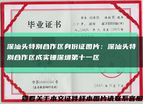 深汕头特别合作区身份证图片：深汕头特别合作区成实锤深圳第十一区缩略图