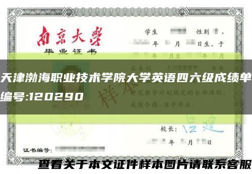 天津渤海职业技术学院大学英语四六级成绩单编号:120290缩略图
