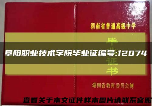 阜阳职业技术学院毕业证编号:12074缩略图