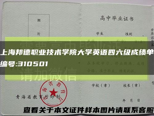 上海邦德职业技术学院大学英语四六级成绩单编号:310501缩略图