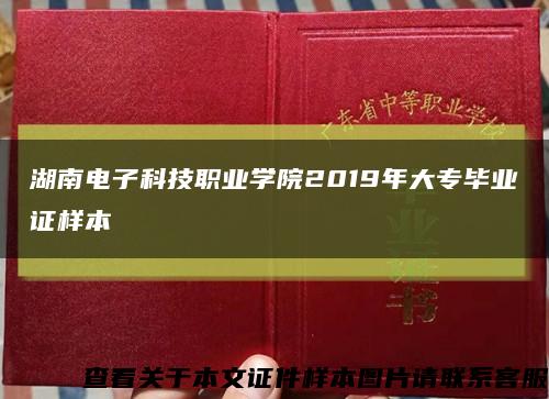 湖南电子科技职业学院2019年大专毕业证样本缩略图