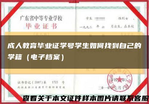 成人教育毕业证学号学生如何找到自己的学籍（电子档案）缩略图