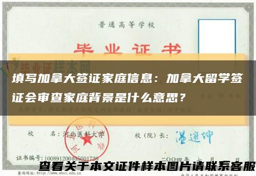填写加拿大签证家庭信息：加拿大留学签证会审查家庭背景是什么意思？缩略图