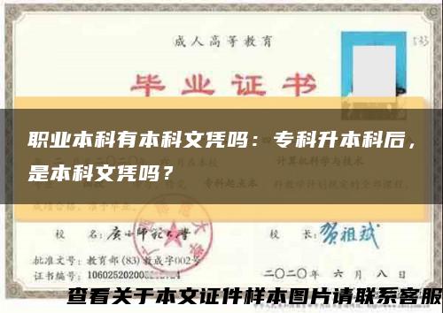 职业本科有本科文凭吗：专科升本科后，是本科文凭吗？缩略图