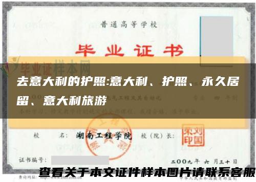 去意大利的护照:意大利、护照、永久居留、意大利旅游缩略图