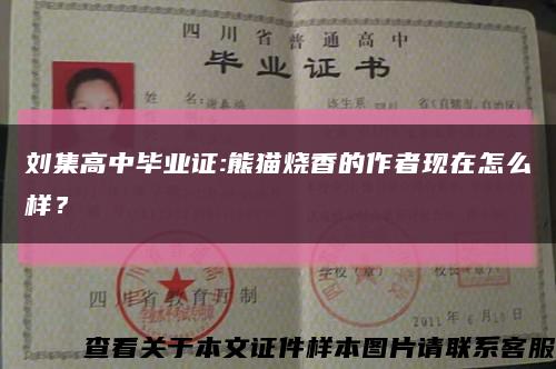 刘集高中毕业证:熊猫烧香的作者现在怎么样？缩略图
