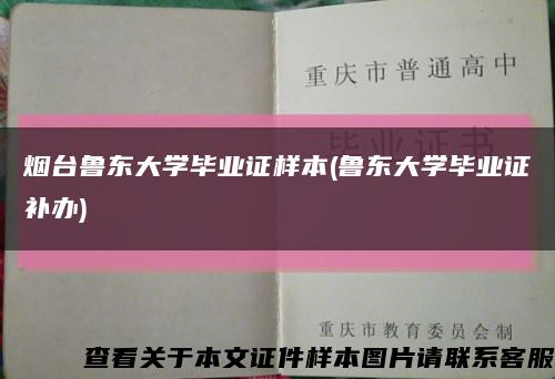 烟台鲁东大学毕业证样本(鲁东大学毕业证补办)缩略图