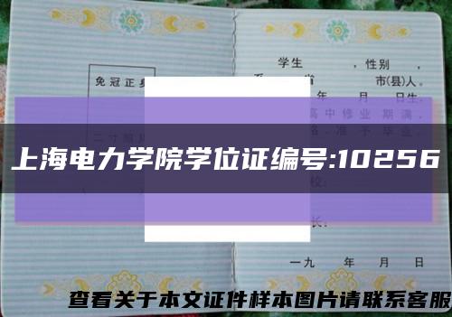 上海电力学院学位证编号:10256缩略图