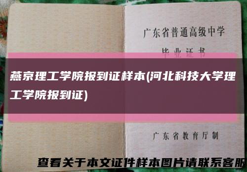 燕京理工学院报到证样本(河北科技大学理工学院报到证)缩略图