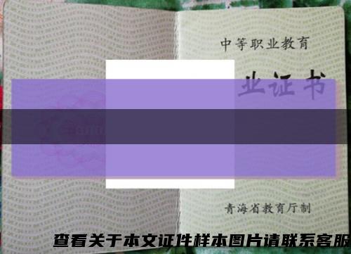 2003年双鸭江大学毕业证样本缩略图
