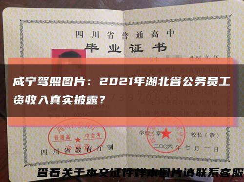 咸宁驾照图片：2021年湖北省公务员工资收入真实披露？缩略图