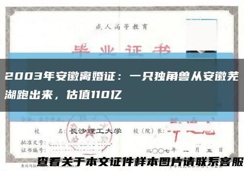 2003年安徽离婚证：一只独角兽从安徽芜湖跑出来，估值110亿缩略图