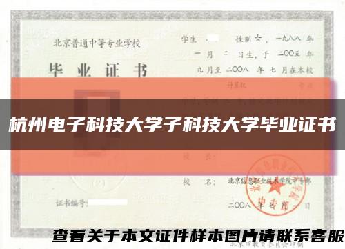 杭州电子科技大学子科技大学毕业证书缩略图