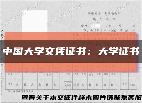 中国大学文凭证书：大学证书缩略图