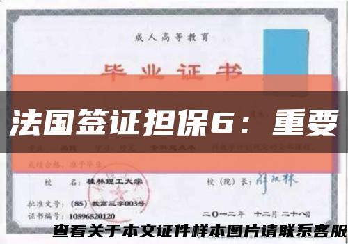 法国签证担保6：重要缩略图