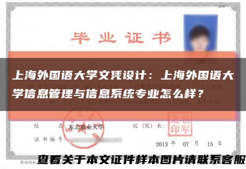 上海外国语大学文凭设计：上海外国语大学信息管理与信息系统专业怎么样？缩略图