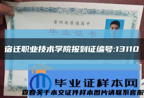 宿迁职业技术学院报到证编号:13110缩略图