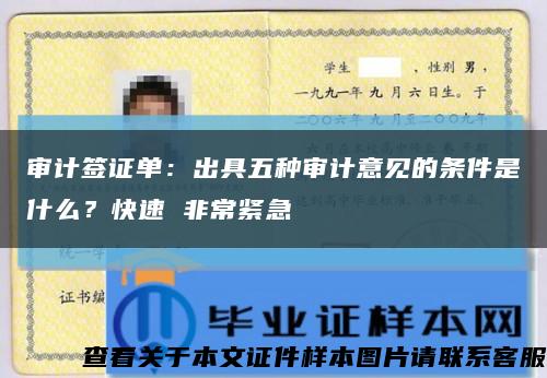 审计签证单：出具五种审计意见的条件是什么？快速 非常紧急缩略图