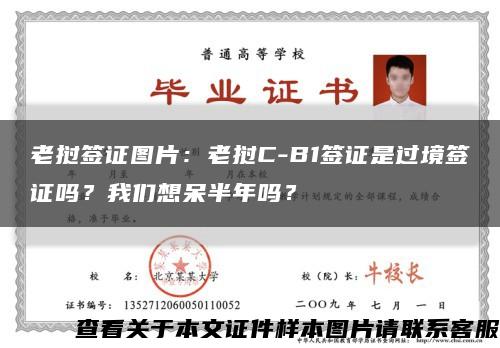 老挝签证图片：老挝C-B1签证是过境签证吗？我们想呆半年吗？缩略图