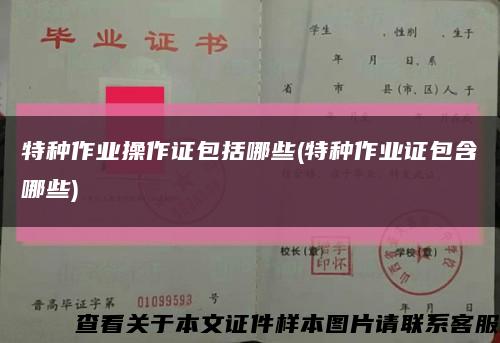 特种作业操作证包括哪些(特种作业证包含哪些)缩略图