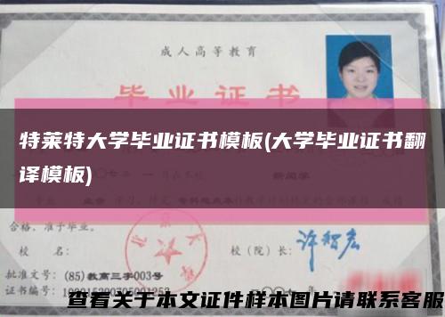 特莱特大学毕业证书模板(大学毕业证书翻译模板)缩略图