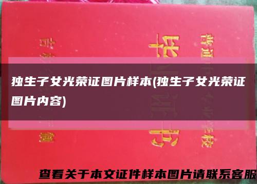 独生子女光荣证图片样本(独生子女光荣证图片内容)缩略图