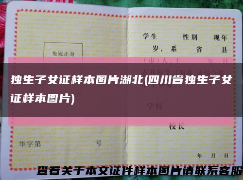 独生子女证样本图片湖北(四川省独生子女证样本图片)缩略图
