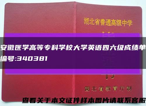 安徽医学高等专科学校大学英语四六级成绩单编号:340381缩略图