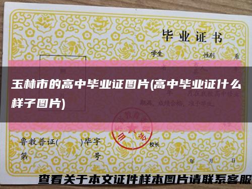 玉林市的高中毕业证图片(高中毕业证什么样子图片)缩略图