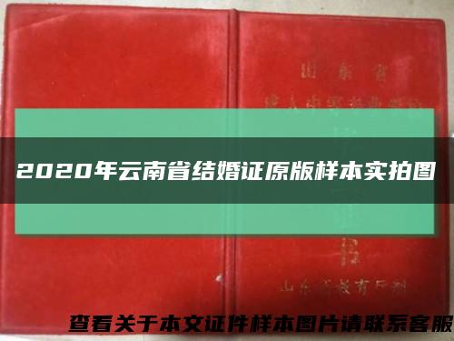 2020年云南省结婚证原版样本实拍图缩略图