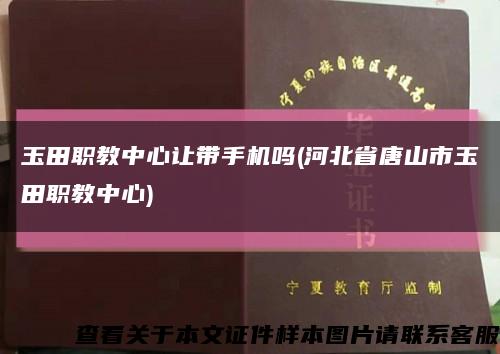 玉田职教中心让带手机吗(河北省唐山市玉田职教中心)缩略图