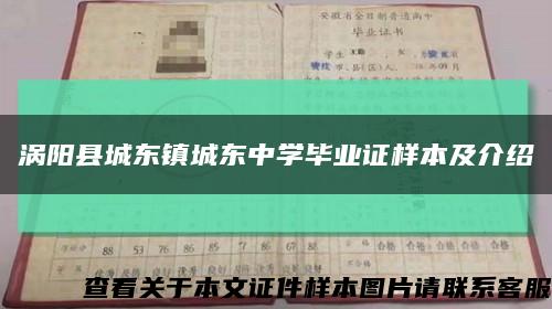 涡阳县城东镇城东中学毕业证样本及介绍缩略图