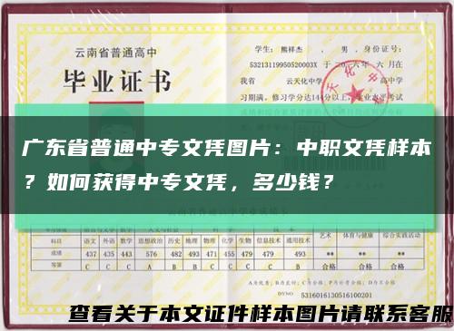 广东省普通中专文凭图片：中职文凭样本？如何获得中专文凭，多少钱？缩略图