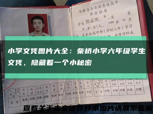 小学文凭图片大全：柴桥小学六年级学生文凭，隐藏着一个小秘密缩略图