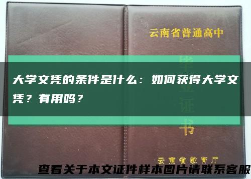 大学文凭的条件是什么：如何获得大学文凭？有用吗？缩略图