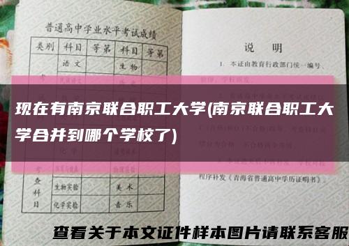 现在有南京联合职工大学(南京联合职工大学合并到哪个学校了)缩略图