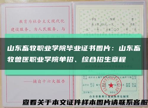 山东畜牧职业学院毕业证书图片：山东畜牧兽医职业学院单招、综合招生章程缩略图
