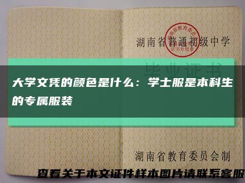 大学文凭的颜色是什么：学士服是本科生的专属服装缩略图