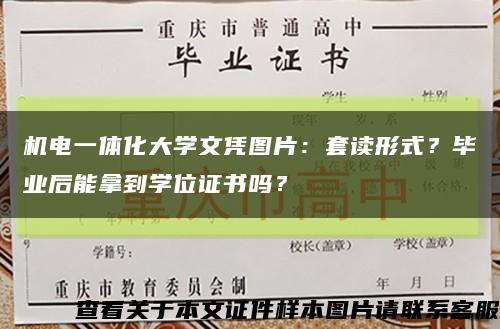 机电一体化大学文凭图片：套读形式？毕业后能拿到学位证书吗？缩略图