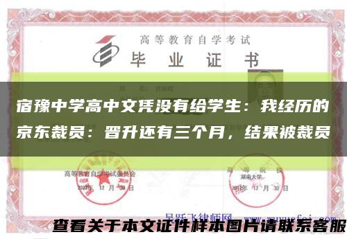 宿豫中学高中文凭没有给学生：我经历的京东裁员：晋升还有三个月，结果被裁员缩略图