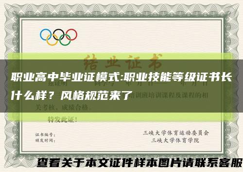 职业高中毕业证模式:职业技能等级证书长什么样？风格规范来了→缩略图