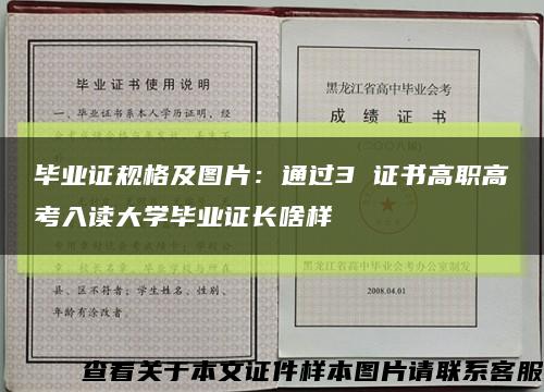 毕业证规格及图片：通过3 证书高职高考入读大学毕业证长啥样缩略图
